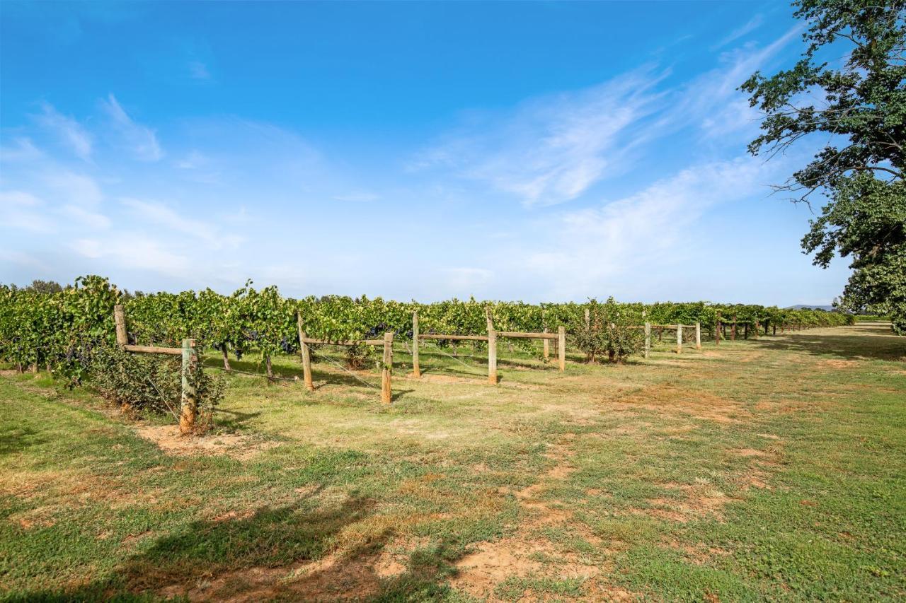 Milawa Vineyard Views - Guesthouse 1 Екстериор снимка