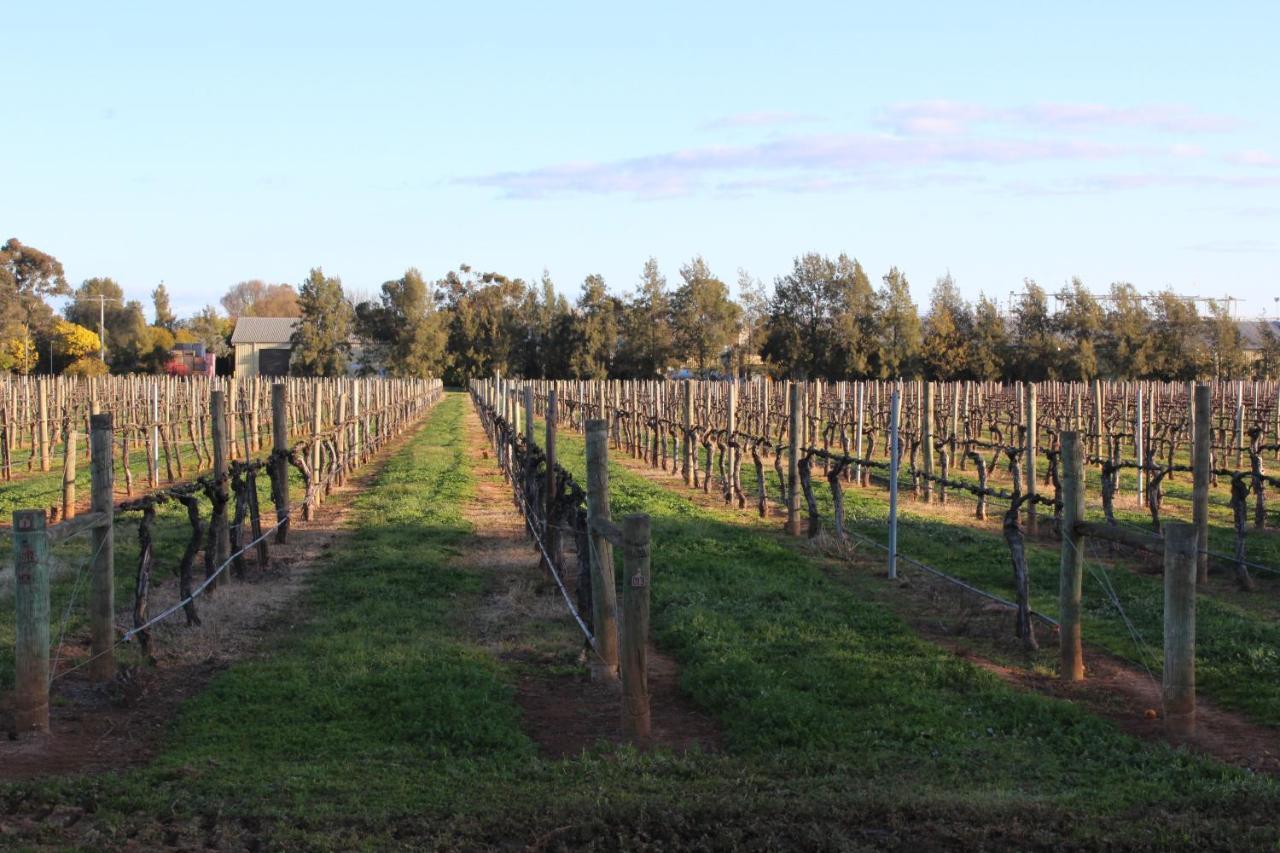 Milawa Vineyard Views - Guesthouse 1 Екстериор снимка